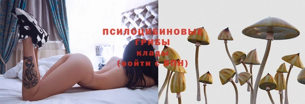 гидропоника Арсеньев
