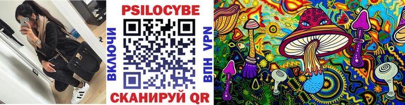 маркетплейс как зайти  Тарко-Сале  Галлюциногенные грибы GOLDEN TEACHER 